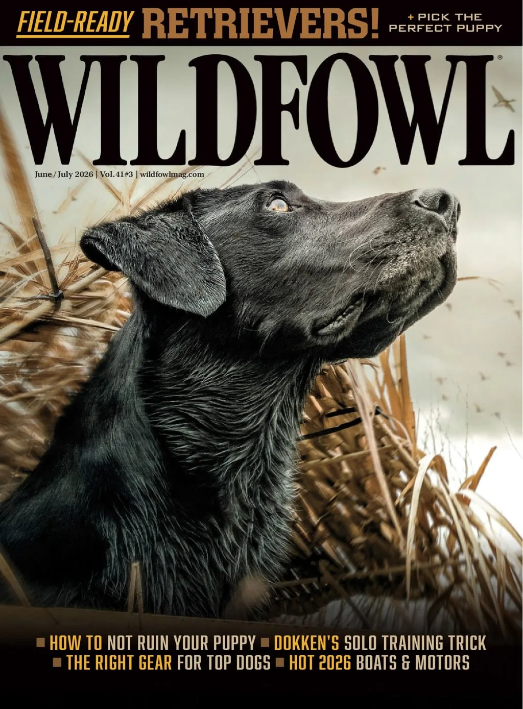 Wildfowl Magazine