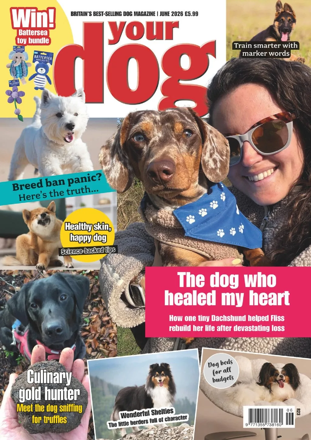 Your Dog Magazine